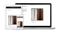Guillermina Ortega Website