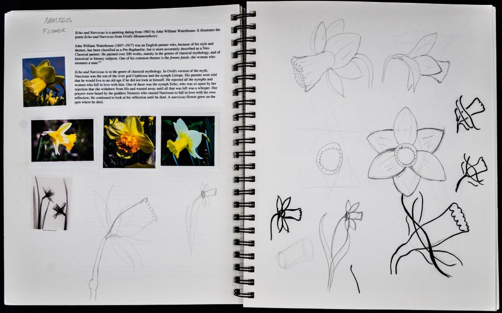 narcisses-spa-logo-sketches-002